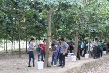 Cao su Sơn La: Tập huấn kỹ thuật trồng xen cây ngắn ngày